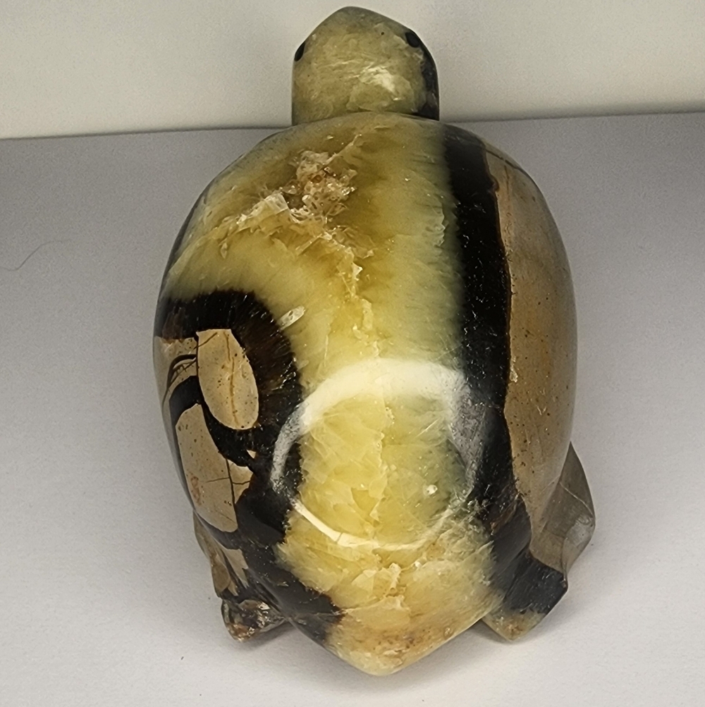Septerian Carved Turtle.  4in X 2in. 502grams. UV Reactive - Picture 4 of 9